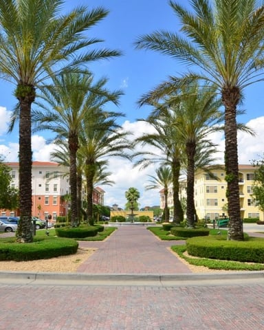 Palm tree-lined brick pathway with colorful residential buildings and manicured landscaping under blue sky