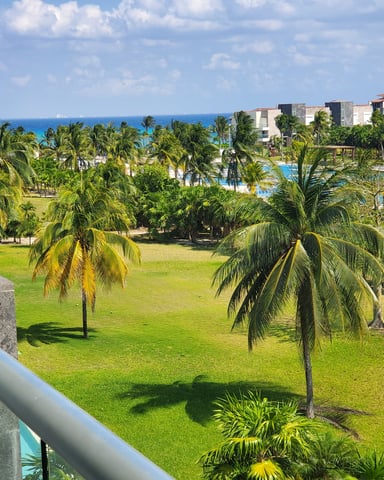 Beachfront resort grounds with palm trees, manicured lawn, pool area, and ocean view beyond modern apartment buildings